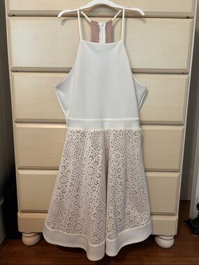 Francesca's Collections White & Blush Laser-Cut Mini Dress